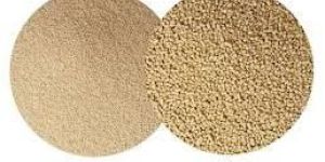 Dry Yeast