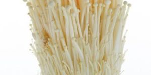 Enoki Mushroom