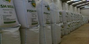 Fish Meal