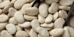 Lima Butter Beans