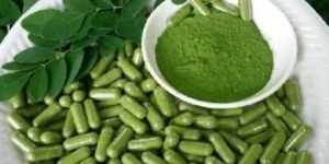 Moringa Powder