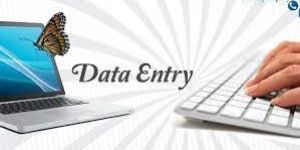 Offline Data Entry