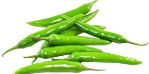 Fresh Green Chilli