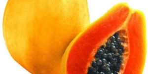 Fresh Papaya