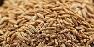 Cumin Seeds