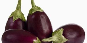 Brinjal