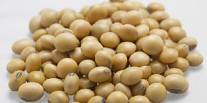 Soya Bean