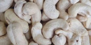 Cashew
