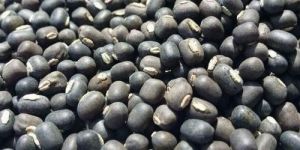 Black Urad Dal