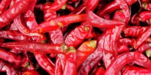 Dried Red Chilli
