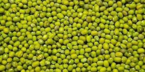 Green Moong Dal