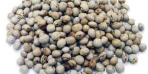 Pigeon Peas