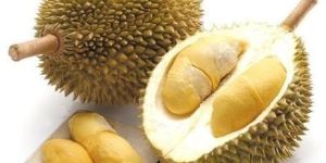Fresh Durian Fruit