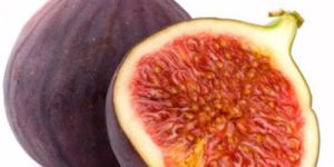 Fresh Fig