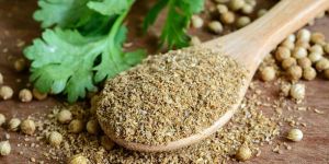 Coriander Powder