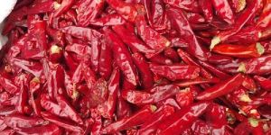 Dried Red Chilli