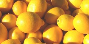 Fresh Citrus Fruits Valencia Oranges Lemons Delicious Apple Cavendish Banana