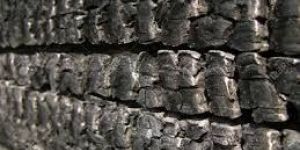 Hard Wood Material and Lump Shape Hardwood Charcoal ,