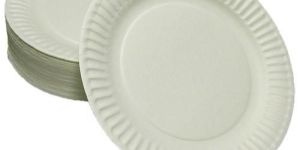 Disposable Paper Plate