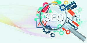SEO Training