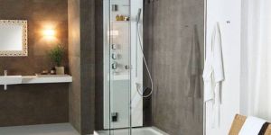Enclosed Shower