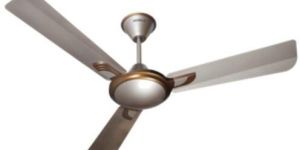 Ceiling Fans