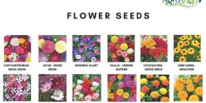 Flower Seeds