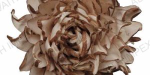 Sola Wood Flowers Tula