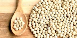 White Pepper Seeds