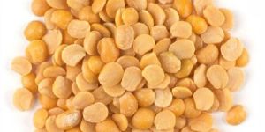 Yellow Pigeon Peas