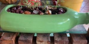 Gardening Ceramic Planter