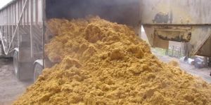 Corn Gluten Meal