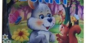 Funny Bunny Book