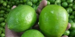 Lemon Gre