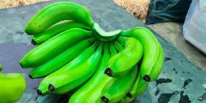 Green Banana