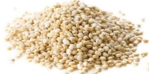 Quinoa Seeds