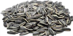 Sunflower Seeds