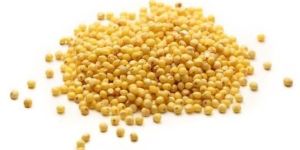 Yellow Millet