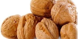 Shelled Walnuts