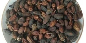 Neem Seeds