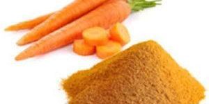Dehydrated Carrot Powder