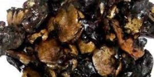 Cashew Nut Shell Waste