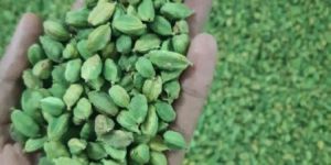 Farm Fresh Green Cardamom