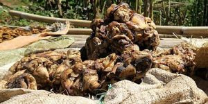 Natural Scrap Rubber