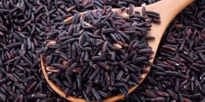 Black Rice