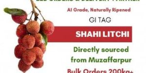 Fresh Shahi Litchis