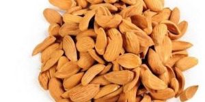 Natural Almond Seed