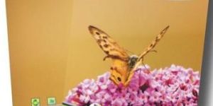 Elite Jumbo Notebook