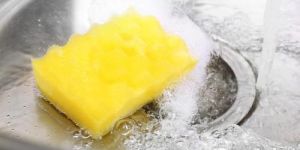 Kitchen Sponge