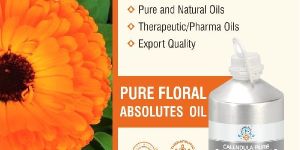 Calendula Absolute Oil